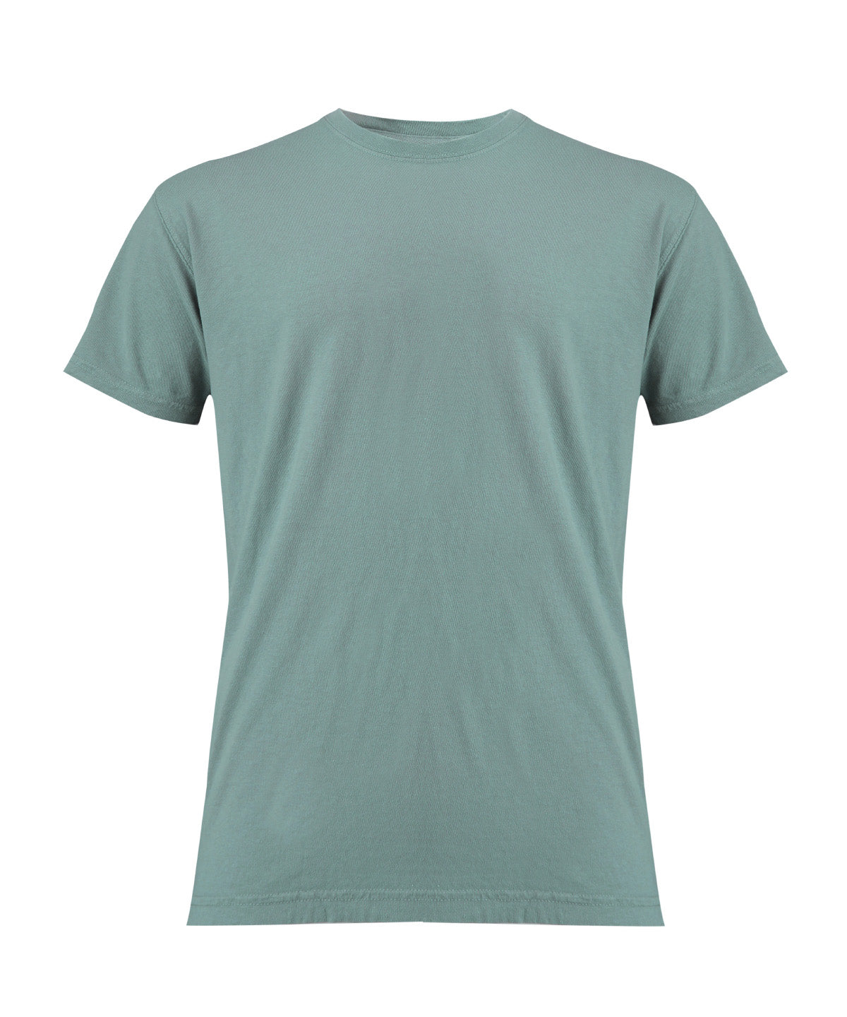 Heavyweight adult t-shirt