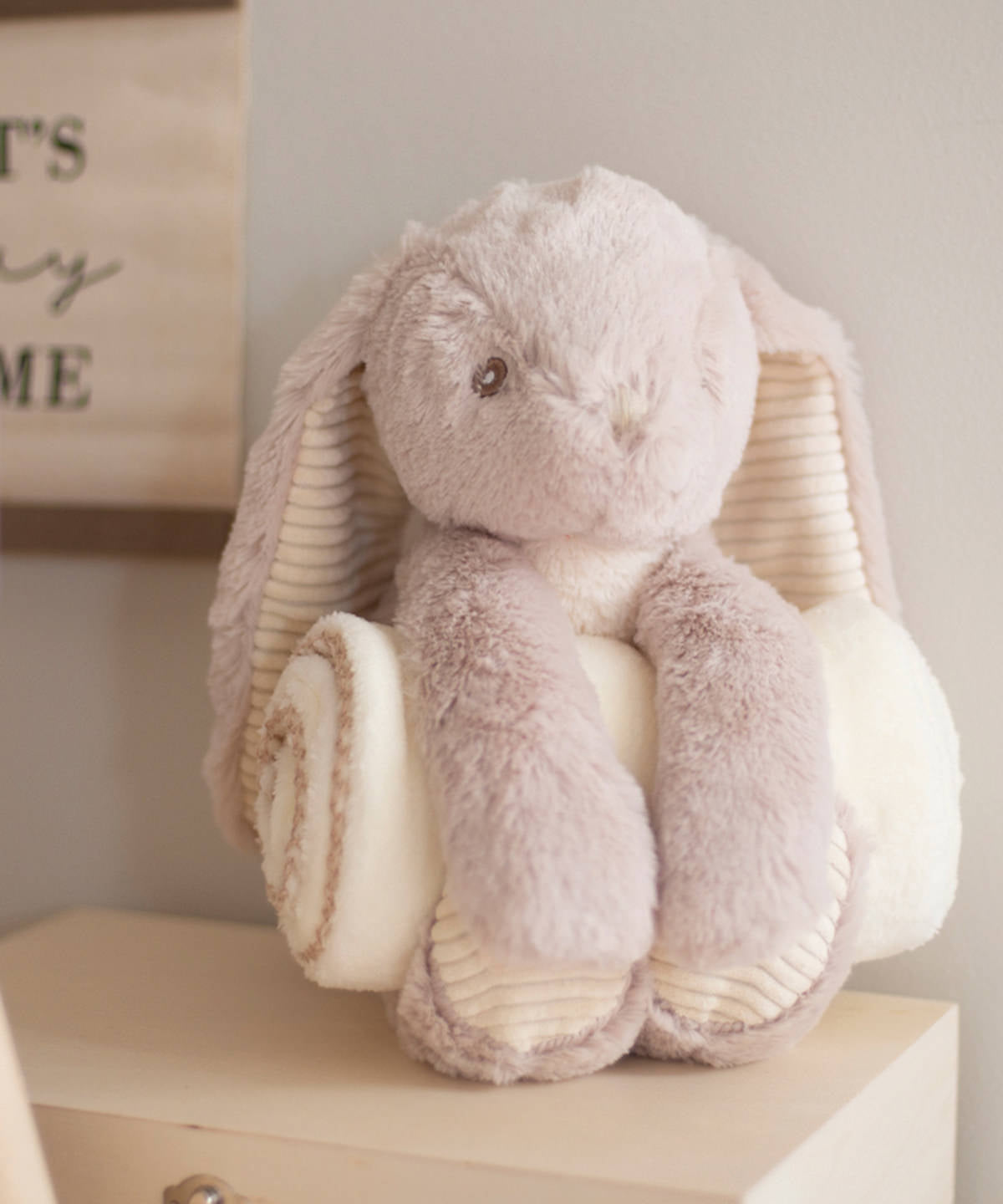 Rabbit and blanket