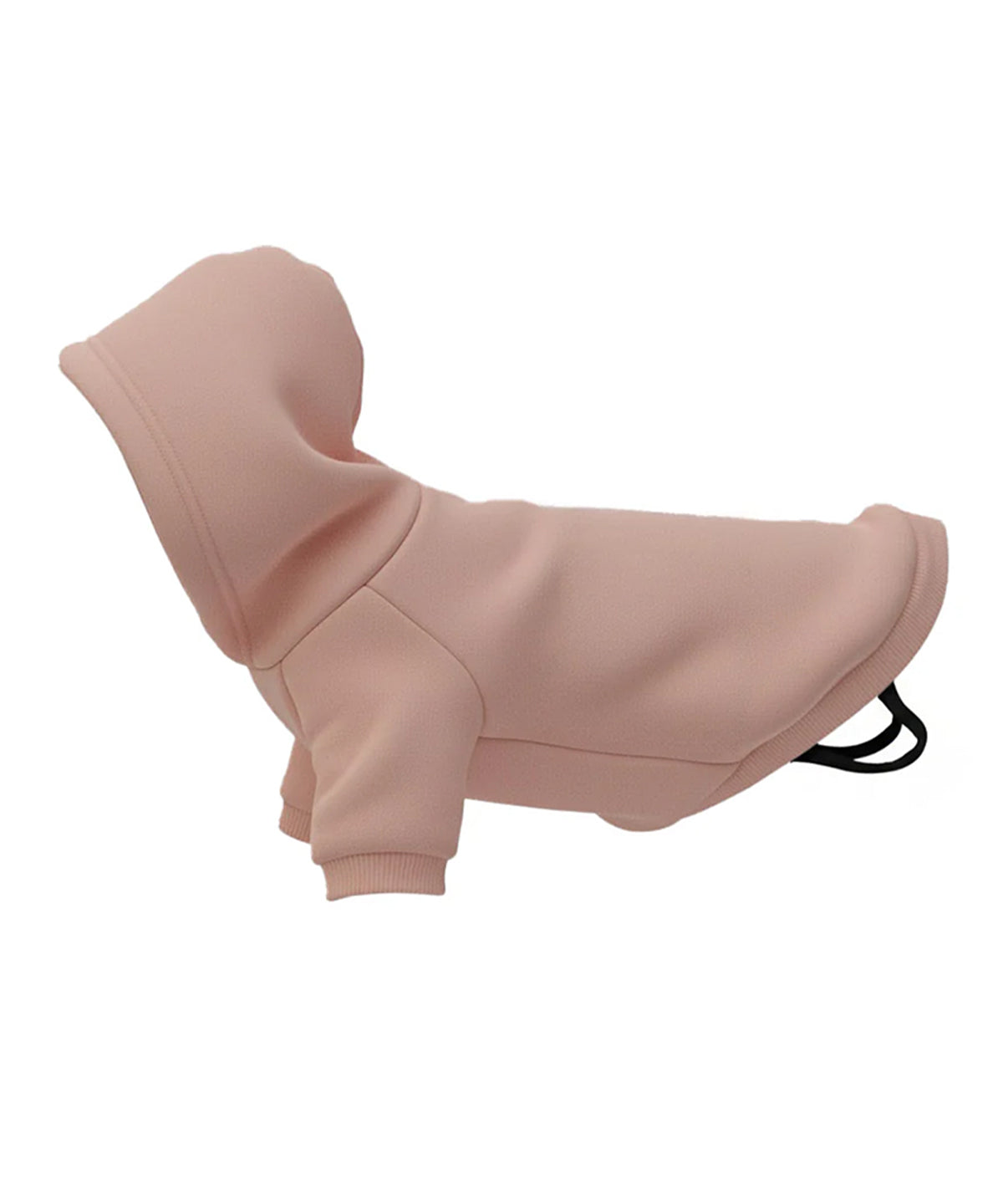 Dog’s hoodie