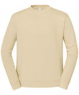 Desert Sand