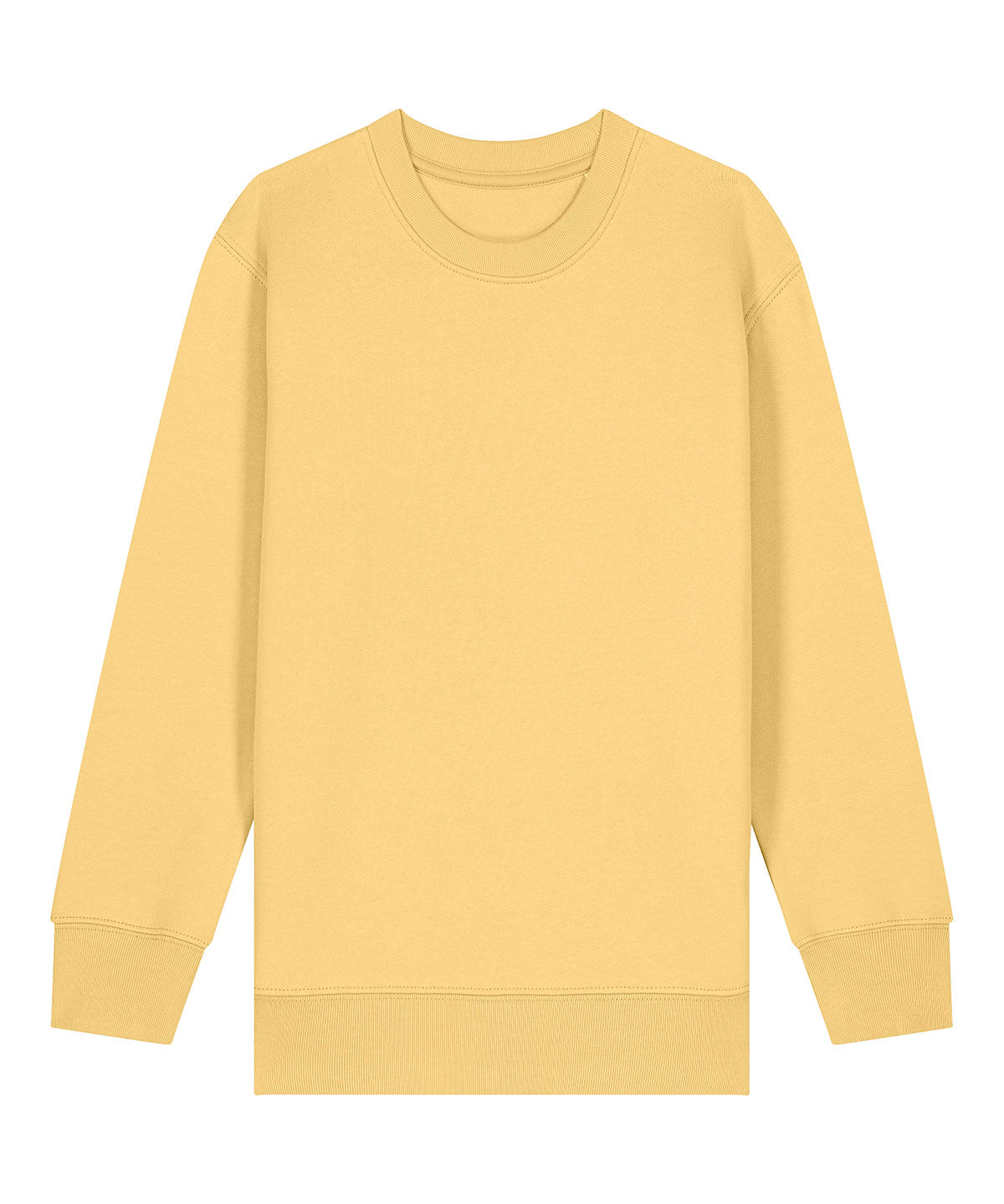 Kids Mini Changer 2.0 iconic crew neck sweatshirt (STSK181)